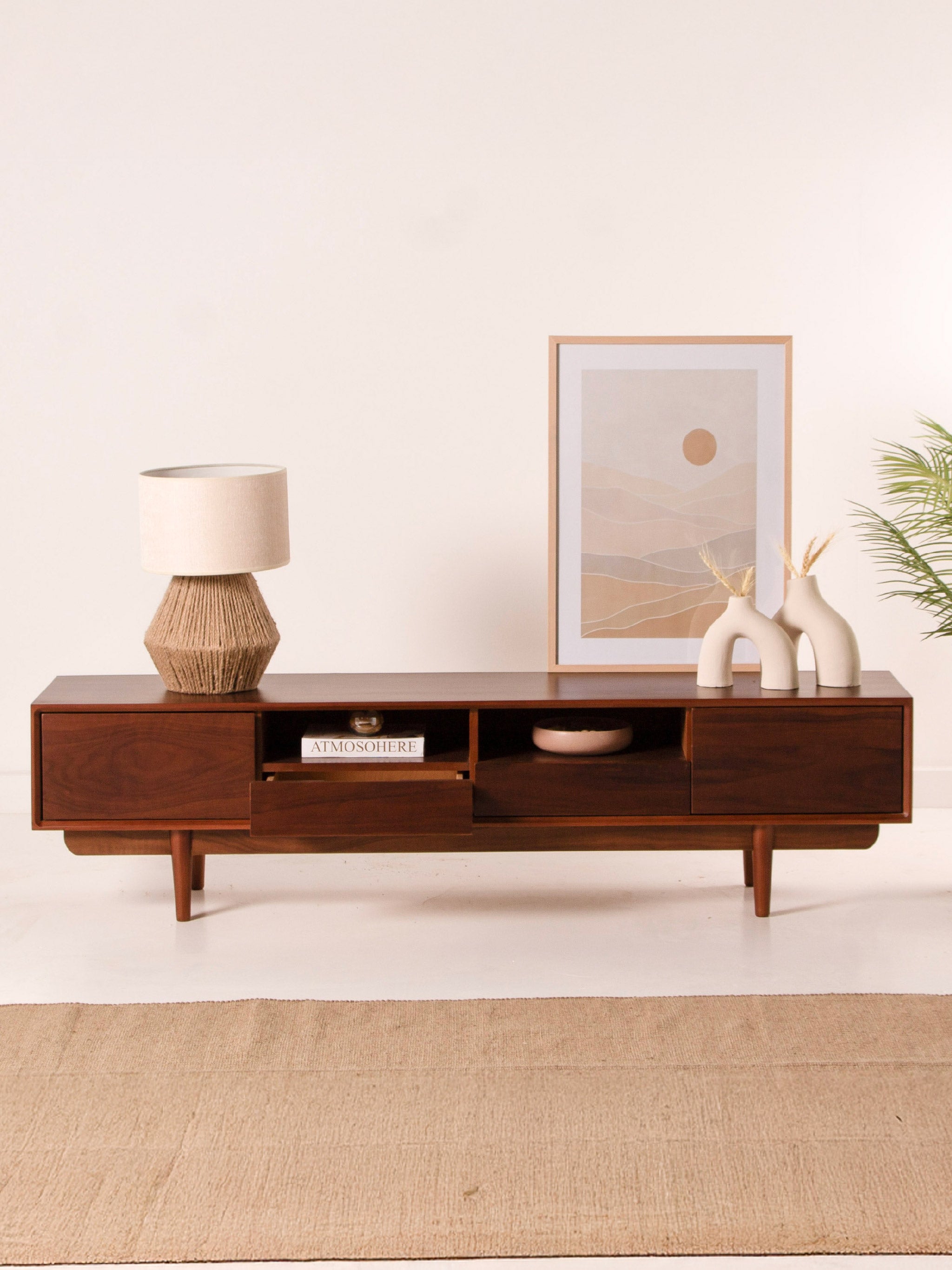Linza TV Unit