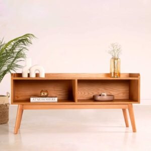 Modest TV Unit1