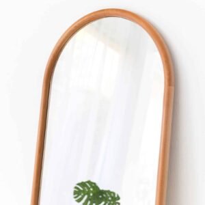 Arc Mirror3