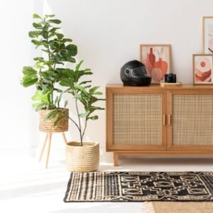 Flores Rattan Buffet5