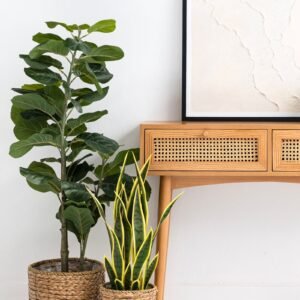 Sina Rattan Console2
